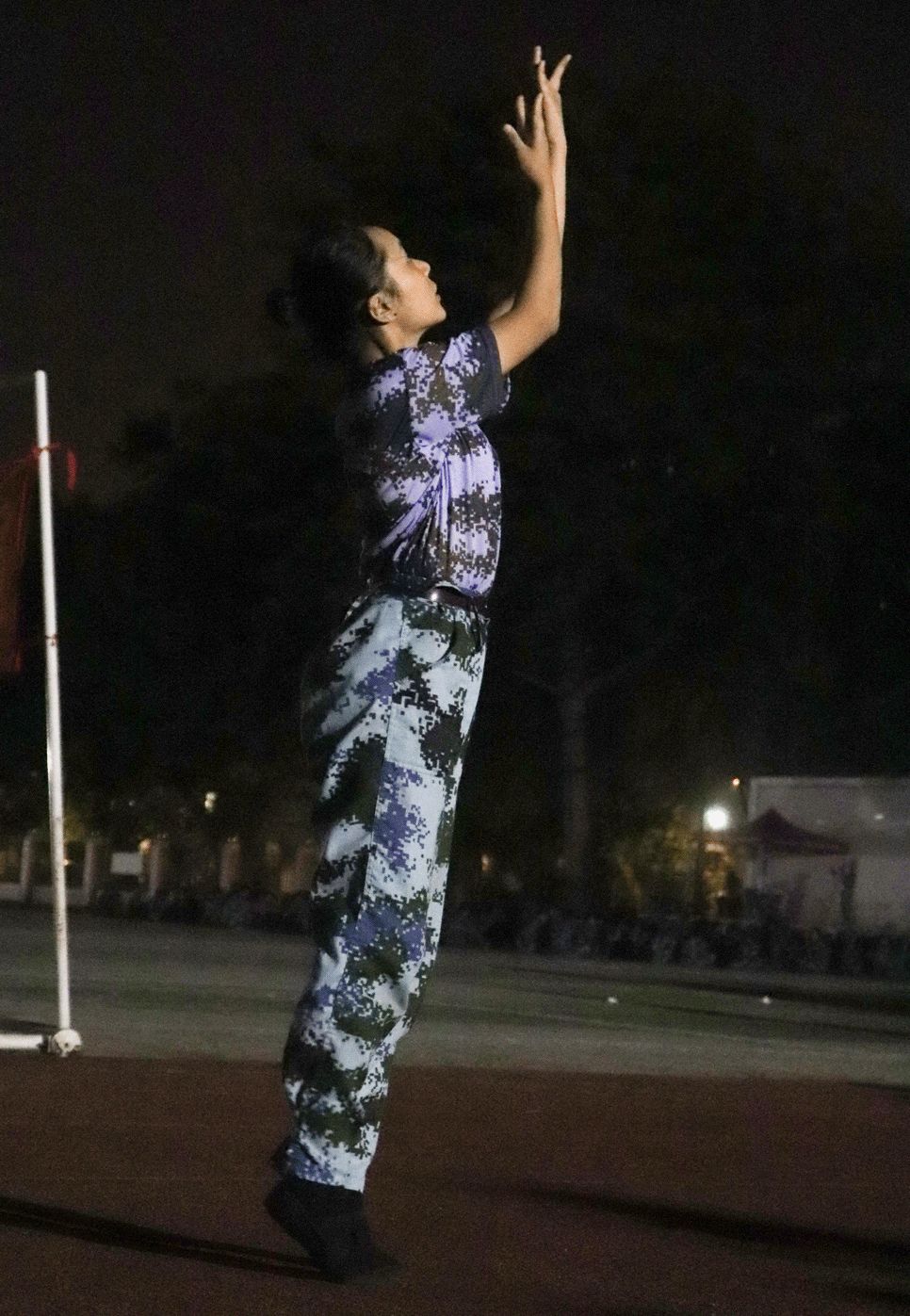3054C